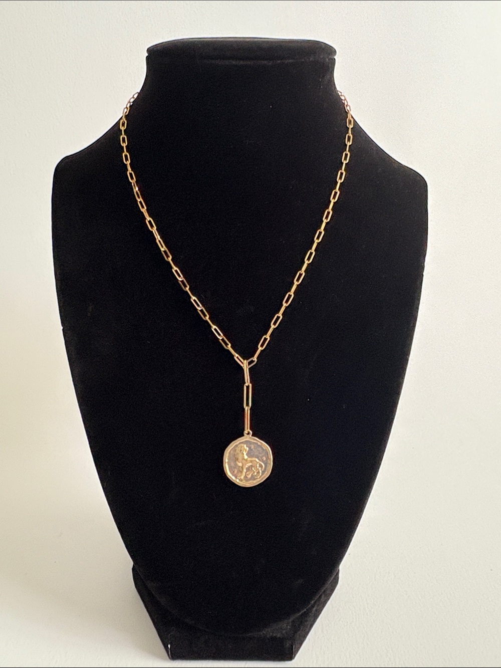Serafina Gold Link Necklace with Lion Coin Pendant
